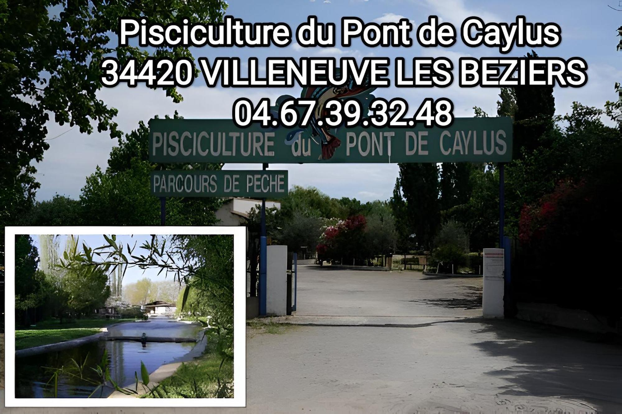 Tiny House 3 Personnes Soeursgrises Beziers Centre Historique Coeur De L'Herault Capitale D'Occitanie Eksteriør bilde
